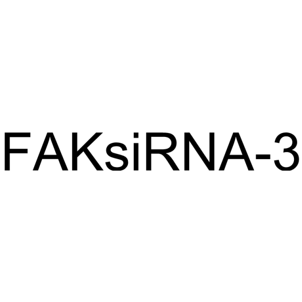 FAKsiRNA-3